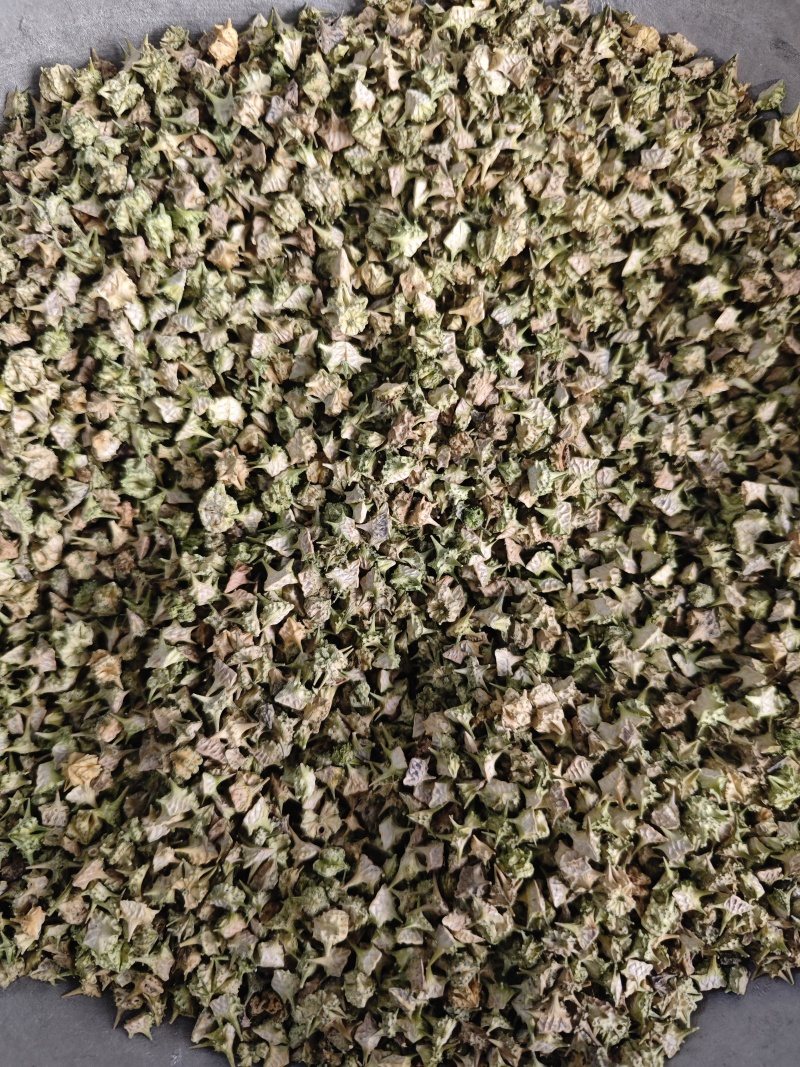 蒺藜，颜色好看全部撞掉刺。安徽亳州产地直供