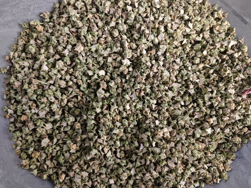 蒺藜，颜色好看全部撞掉刺。安徽亳州产地直供
