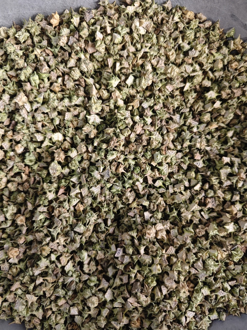 蒺藜，颜色好看全部撞掉刺。安徽亳州产地直供