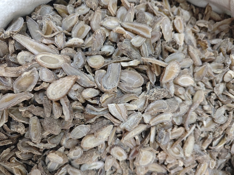 郁金，干净，过4号筛，颜色好，中心片多产地直供保质保量