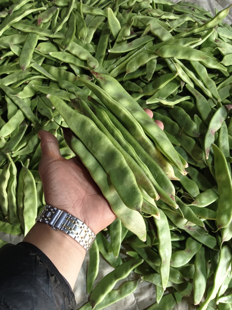 一点红油豆角！精品货通货都有，以质论价！货源充足！