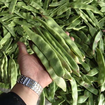 一点红油豆角！精品货通货都有，以质论价！货源充足！