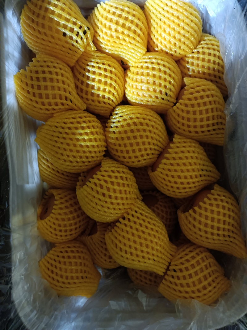 青岛精品梨秋月梨口感好一手货源产地直发量大价优