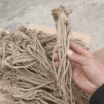 精品手搓