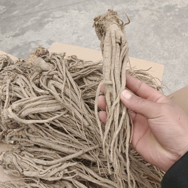精品手搓