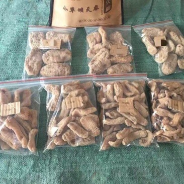 彝良县小草呗精品天麻片一手货源价格美丽欢迎咨询