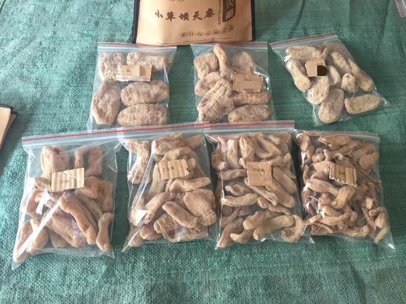 彝良县小草呗精品天麻片一手货源价格美丽欢迎咨询