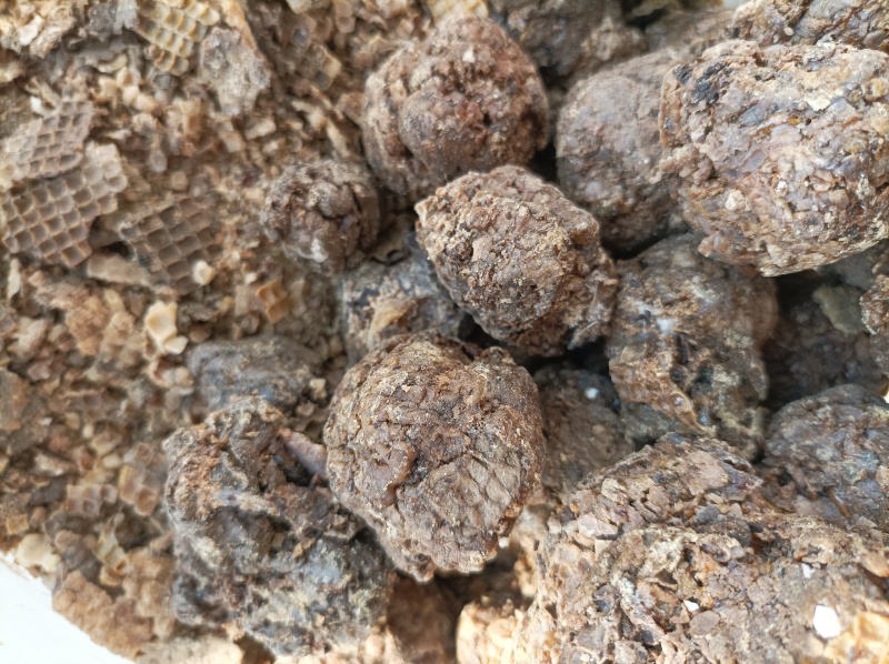 蜂胶原胶毛胶箱体胶和纱盖胶