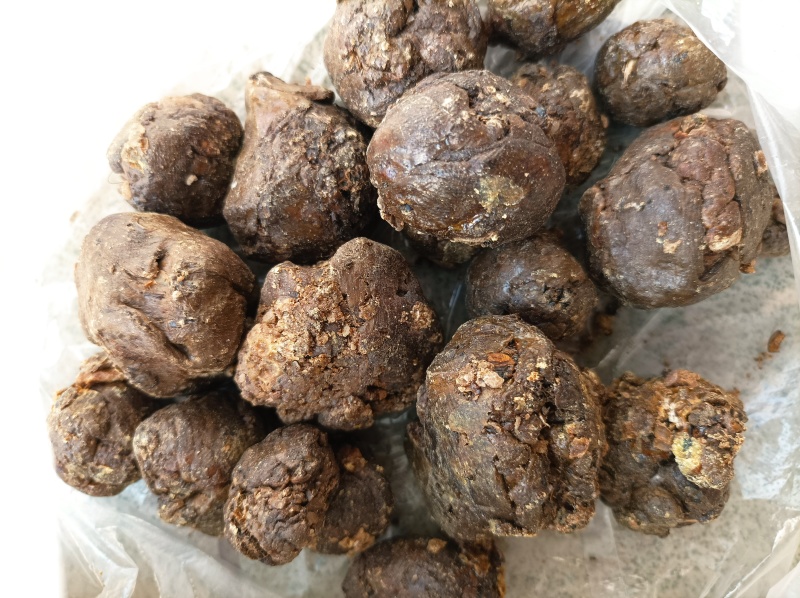 蜂胶原胶毛胶箱体胶和纱盖胶