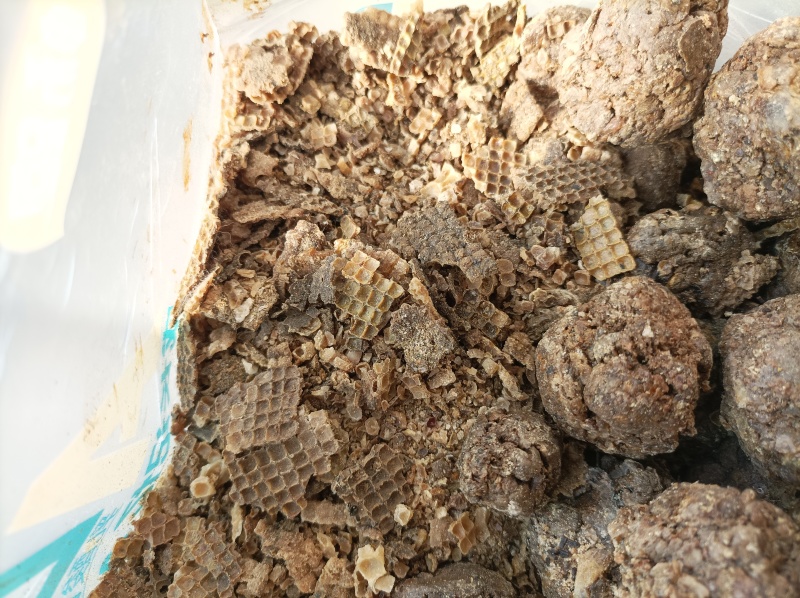 蜂胶原胶毛胶箱体胶和纱盖胶