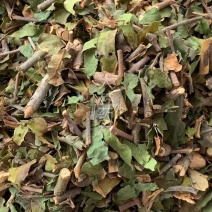 山楂树寄生【包邮】三斤起发货可批量可零售量大从优