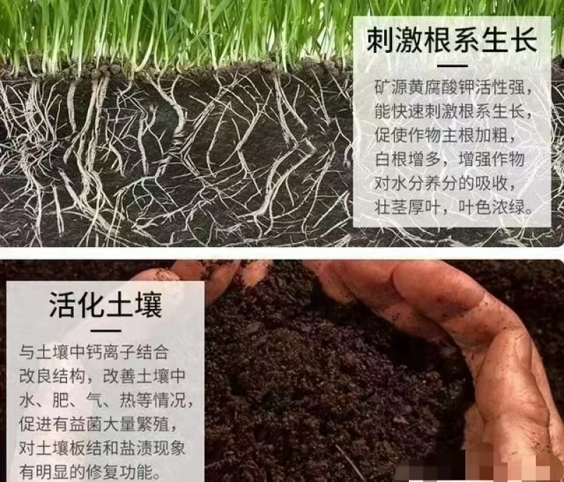 矿源黄腐酸钾生根预防土板结中性土壤生根黄腐酸钾厂家