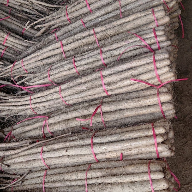 垆土地铁棍山药，产地直发，打捆，网袋各种规格齐全大量供应
