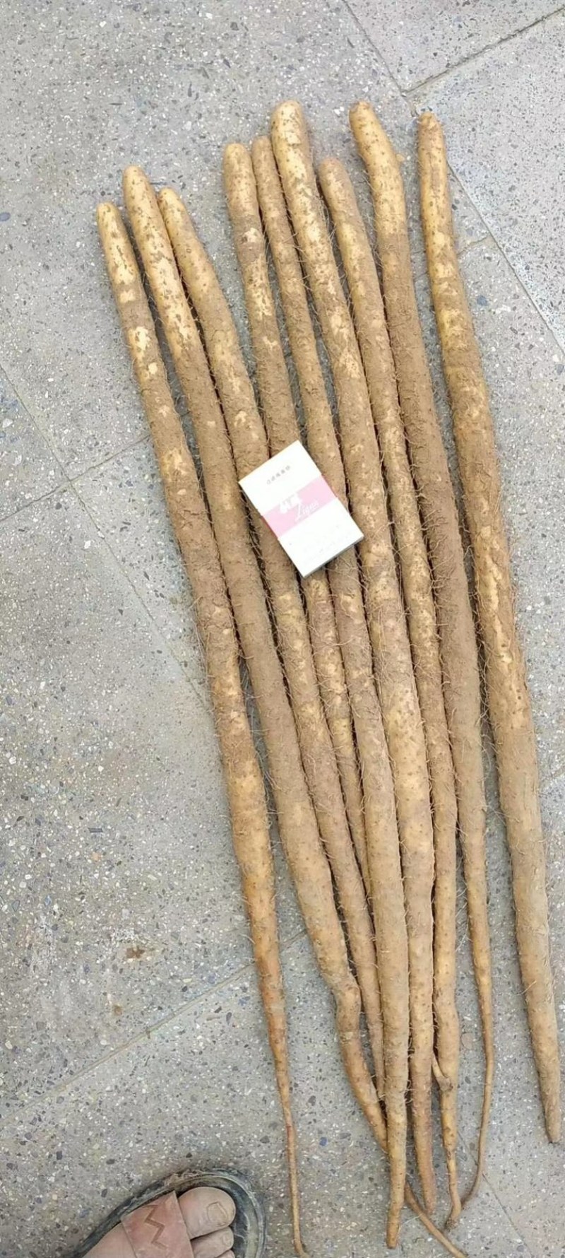 垆土地铁棍山药，产地直发，打捆，网袋各种规格齐全大量供应