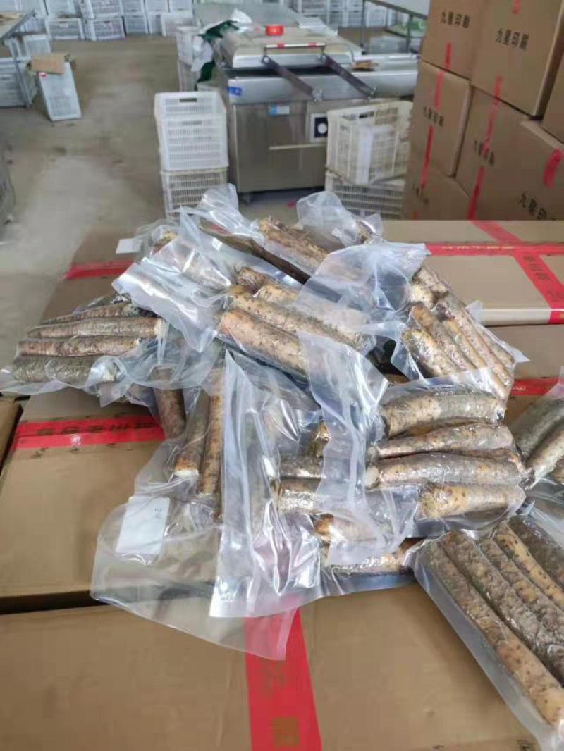 垆土地铁棍山药，产地直发，打捆，网袋各种规格齐全大量供应