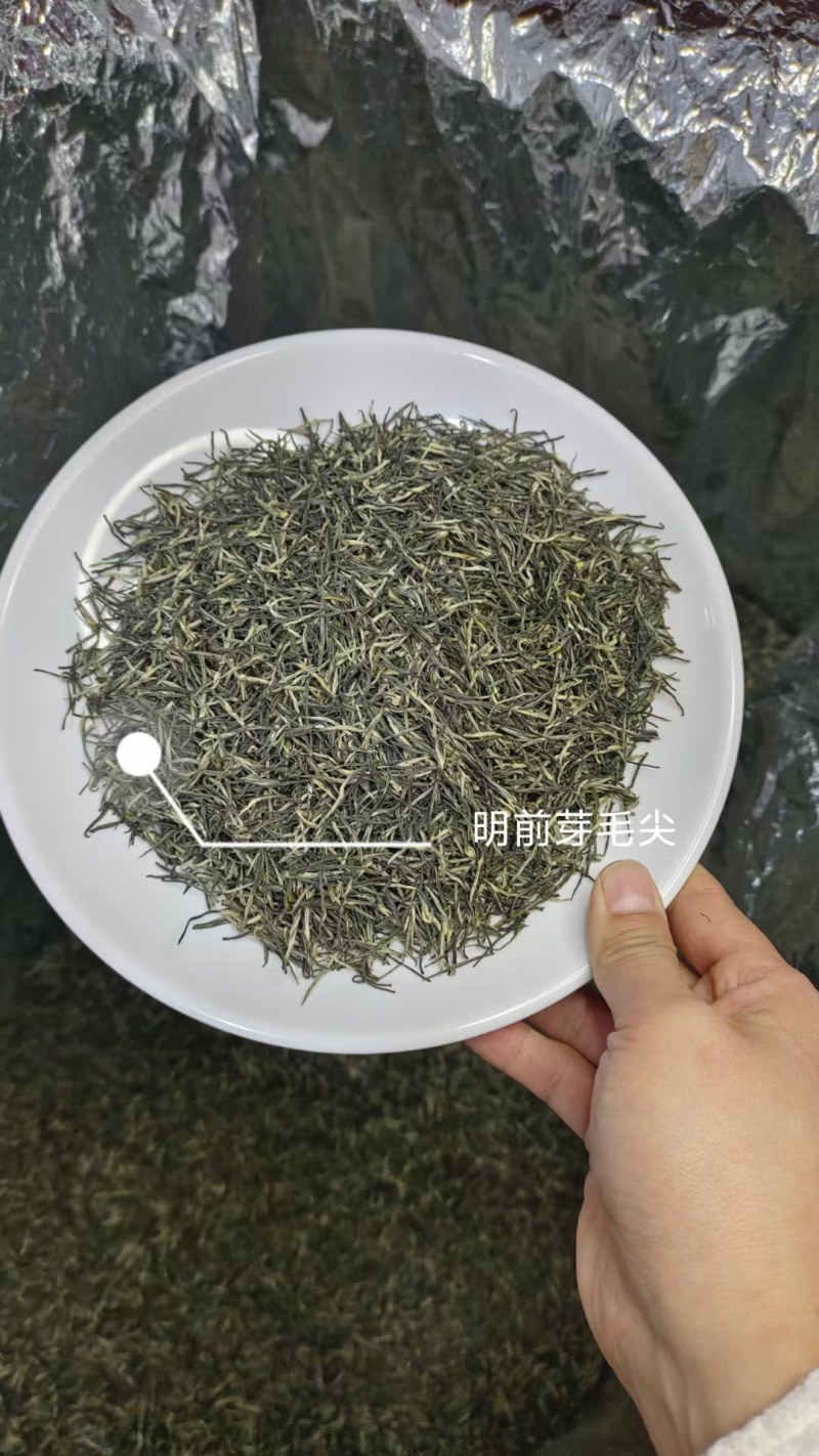 绿茶大量上市，品种多规格齐全，物优价美，欢迎品鉴