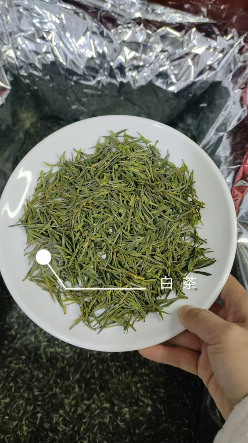 绿茶大量上市，品种多规格齐全，物优价美，欢迎品鉴