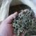 绿茶大量上市，品种多规格齐全，物优价美，欢迎品鉴