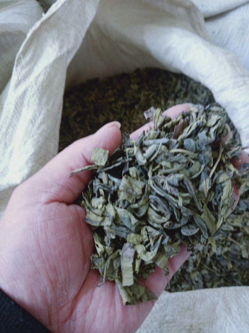 绿茶大量上市，品种多规格齐全，物优价美，欢迎品鉴