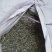 绿茶大量上市，品种多规格齐全，物优价美，欢迎品鉴