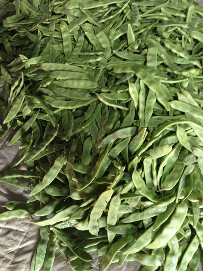 一点红油豆角！精品货通货都有，以质论价！货源充足！