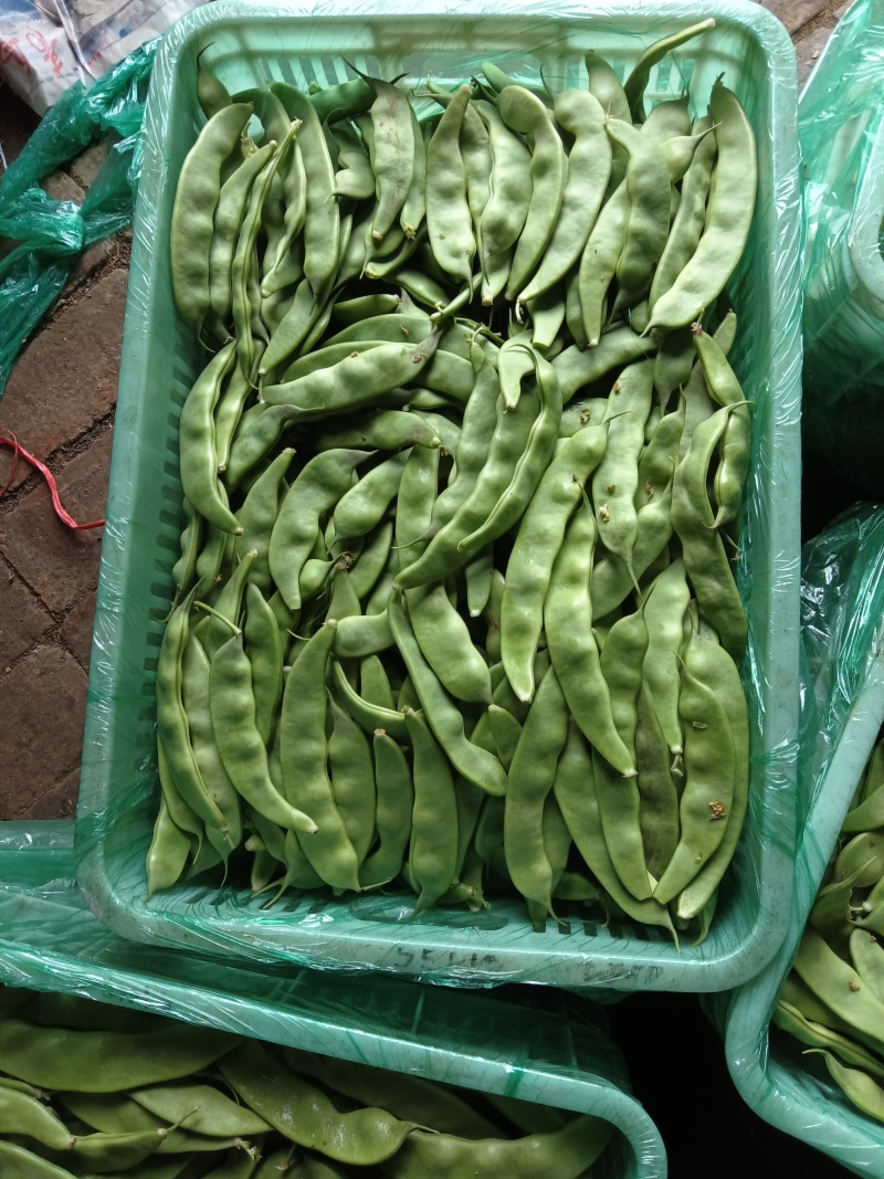 一点红油豆角！精品货通货都有，以质论价！货源充足！