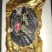土耳其参