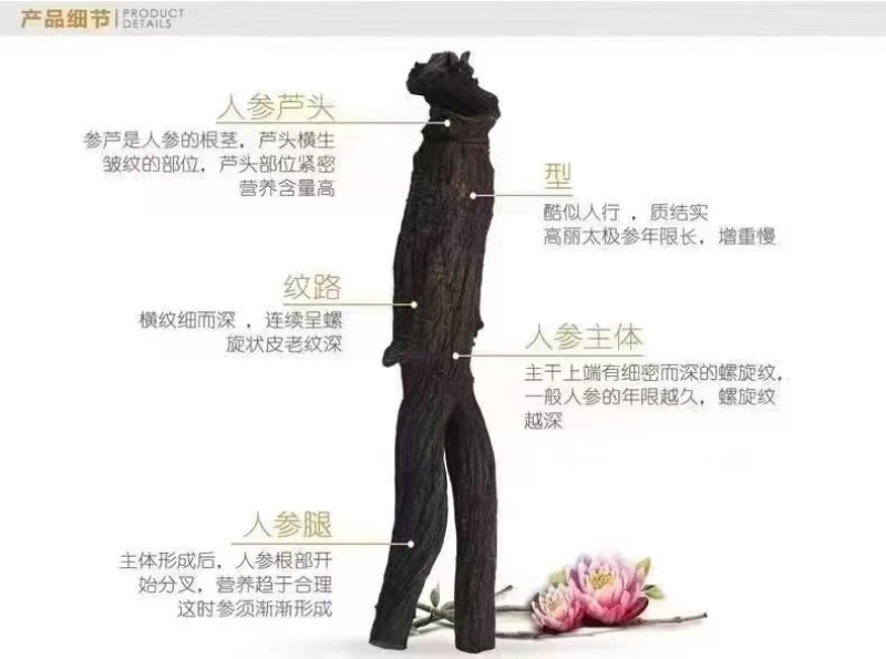 云韩高丽黑参长白山人参九蒸九晒无糖整技精选滋补养生