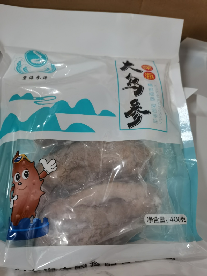 大乌参