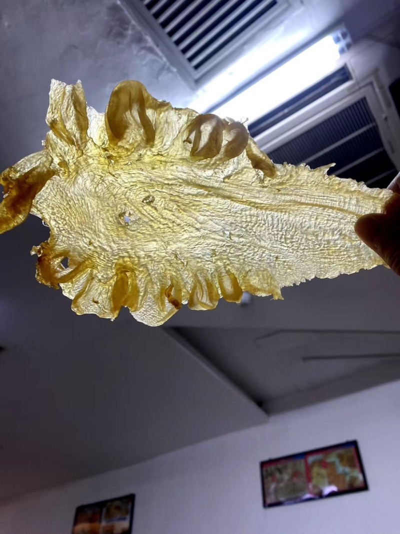 精品鳕鱼胶，足干货，食疗功效高，含有丰富的蛋白质