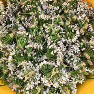 韭菜花，韭花，韭花酱，韭菜花酱，产地大量供应韭菜花
