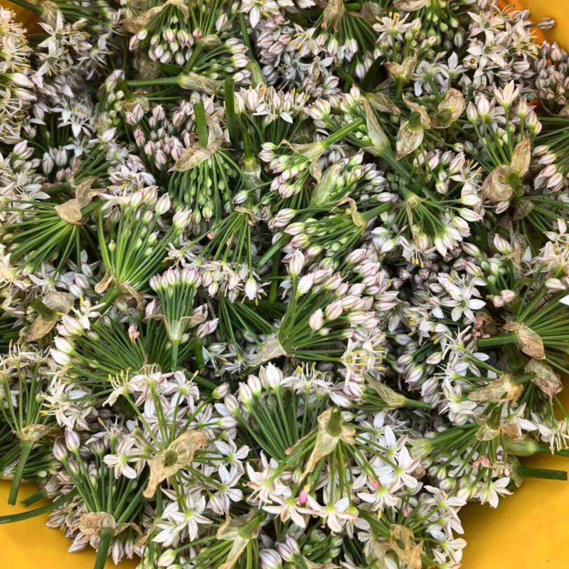 韭菜花，韭花，韭花酱，韭菜花酱，产地大量供应韭菜花