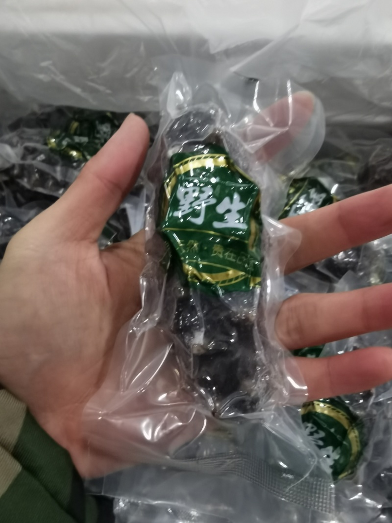 辽参