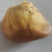 鸡宝