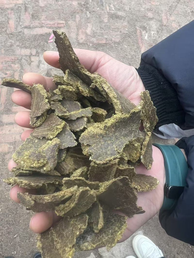 棉籽饼
