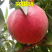 突围桃树苗，品种正，产量高。包邮包活，包品种