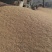 厂家直销净料碎玉米，无中间商赚差价，鸡鸭鹅牛羊鱼虾蟹等都适用