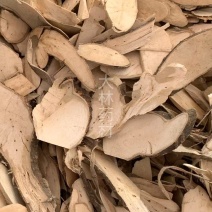 了哥王片【包邮】三斤起发货可批量可零售量大从优