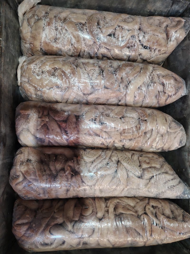 新鲜牛肠牛副产品产地直发