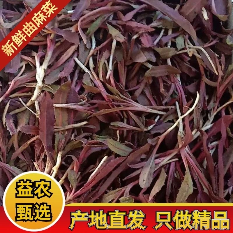 东北曲麻菜特一级专业一件代，社区团购。直播电商！