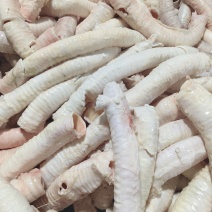 牛肺管