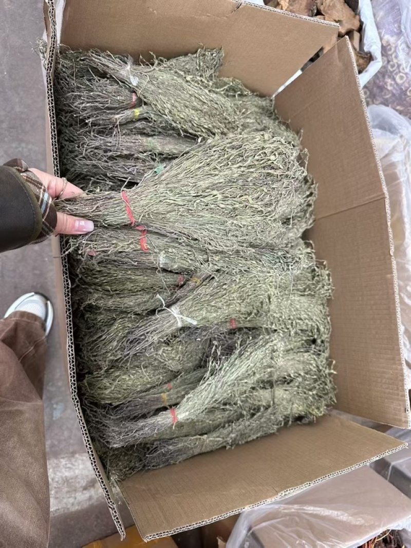 独角金