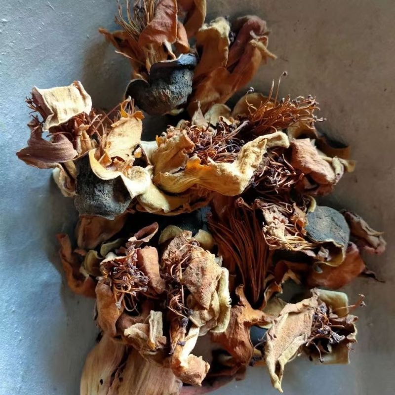 木棉花新鲜干货斑枝花木棉花干木棉花茶