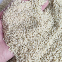 火麻仁中药材脱壳火麻仁火麻籽规格齐全厂家直销品质保证