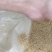 火麻仁中药材脱壳火麻仁火麻籽规格齐全厂家直销品质保证
