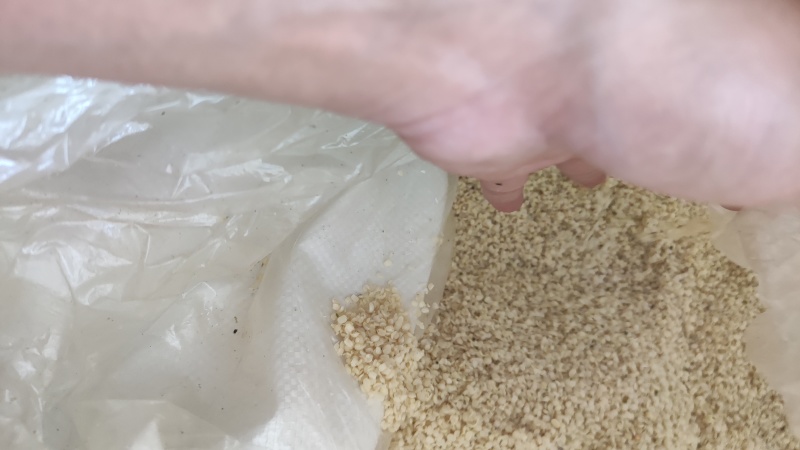 火麻仁中药材脱壳火麻仁火麻籽规格齐全厂家直销品质保证