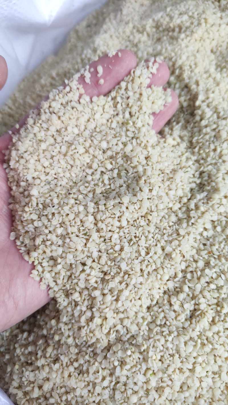 火麻仁中药材脱壳火麻仁火麻籽规格齐全厂家直销品质保证