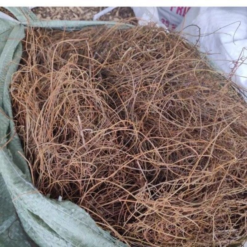 中药材无根藤1公斤菟丝子草菟丝藤无娘藤菟丝草罗网藤