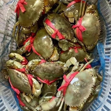 膏蟹