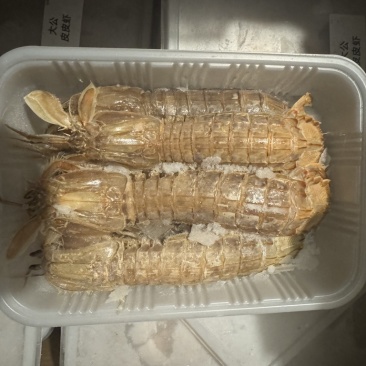 皮皮虾